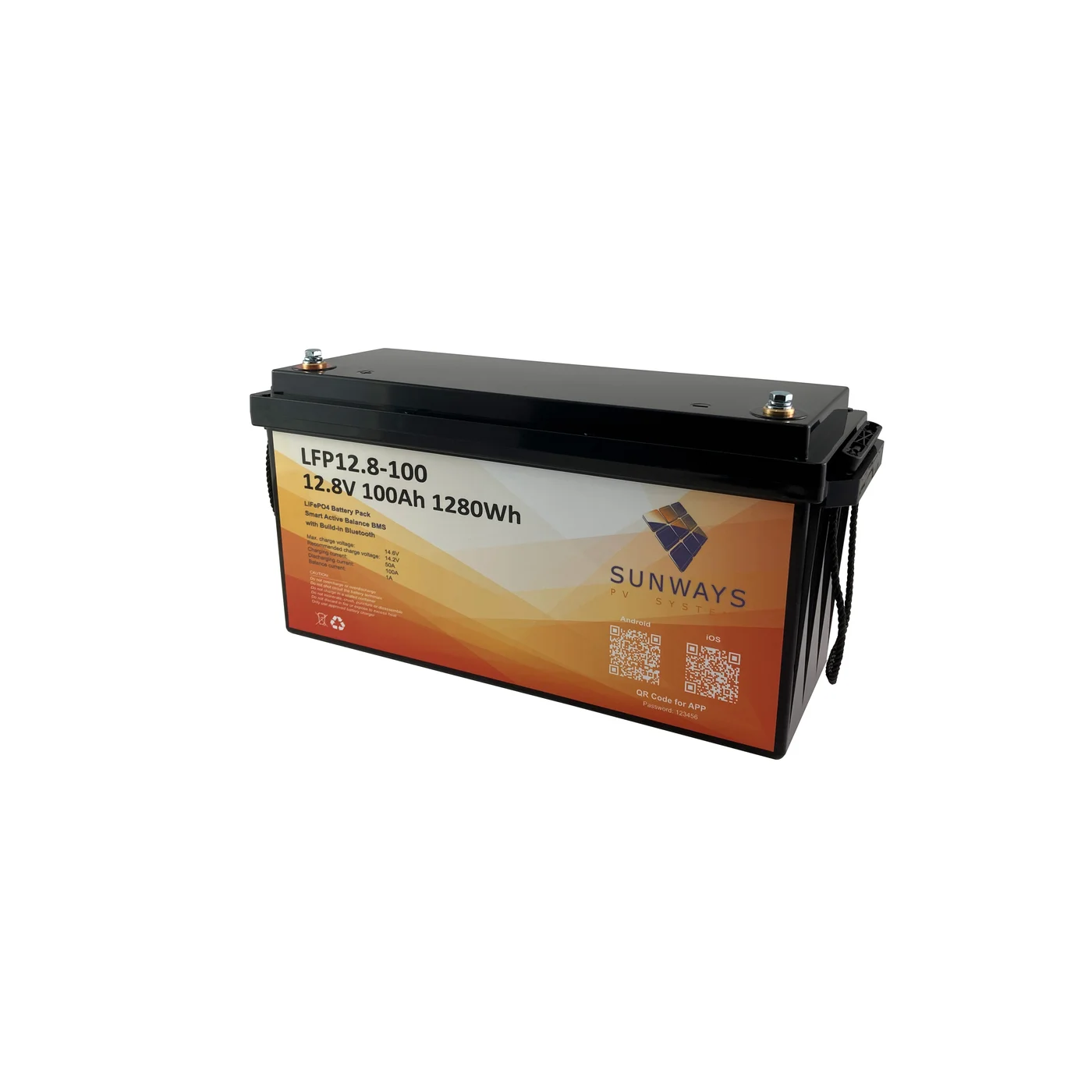 Sunways B-LFP-100Ah 12V